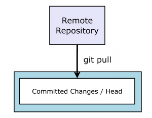 basic git - git pull