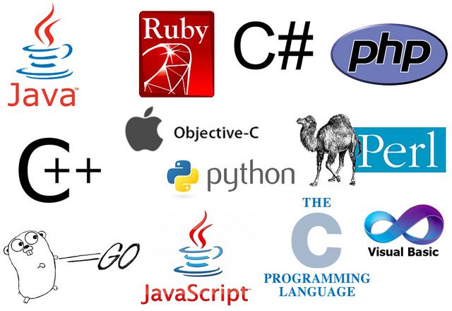 which programming language should i learn